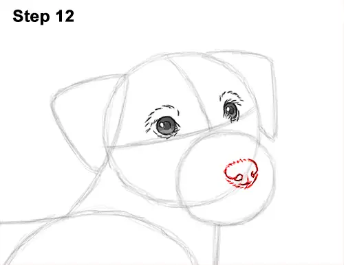 how to draw a dog jack russell terrier