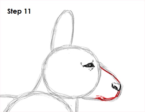 Kangaroo Drawing 11 Draw Kangaroo 11