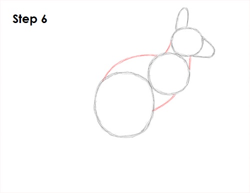Kangaroo Drawing 6 Draw Kangaroo 6