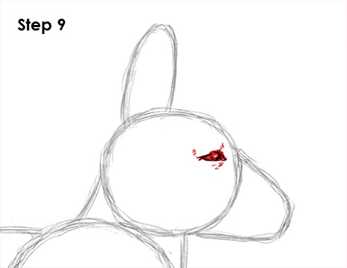 Kangaroo Drawing 9 Draw Kangaroo 9