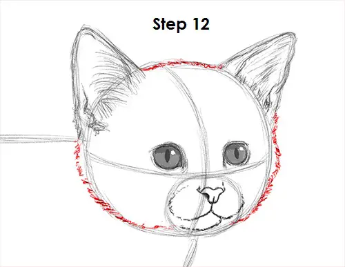 Kitten Drawing 12 Draw Kitten 12