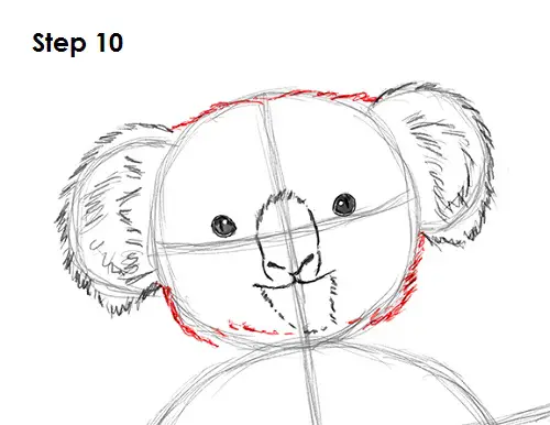 Koala Drawing 10 Draw Koala 10
