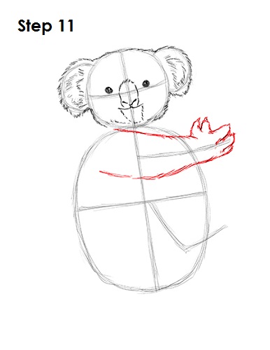Line Drawing Koala : How to draw a koala