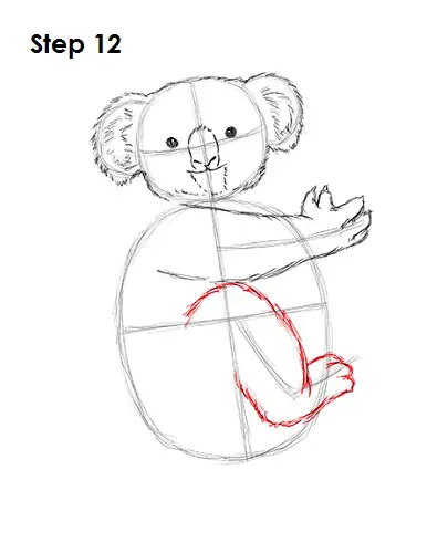 Koala Drawing 12 Draw Koala 12