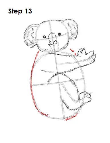 Koala Drawing 13 Draw Koala 13