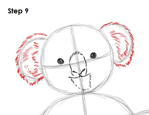 Koala Drawing 9 Draw Koala 9