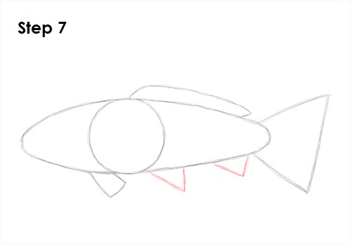 Koi Fish 7 Draw Koi Fish 7