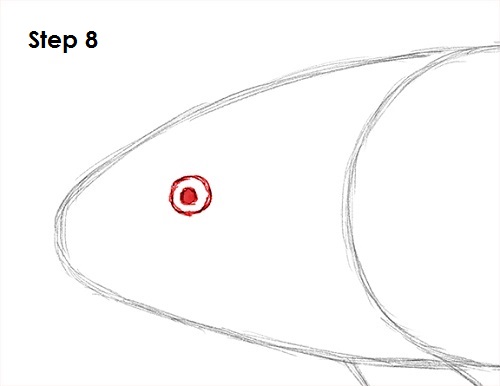 Koi Fish 8 Draw Koi Fish 8