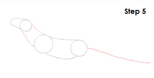 Komodo Dragon Drawing 5 Draw Komodo Dragon 5
