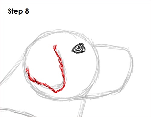 Labrador Retriever Dog 8 Draw Labrador Retriever 8