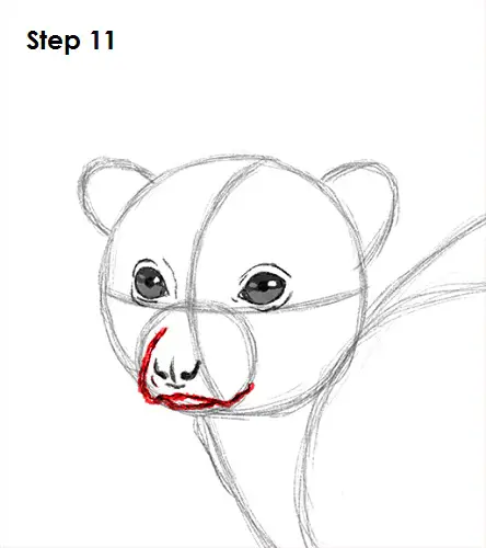 Ring-Tailed Lemur Drawing 11 Draw Lemur 11