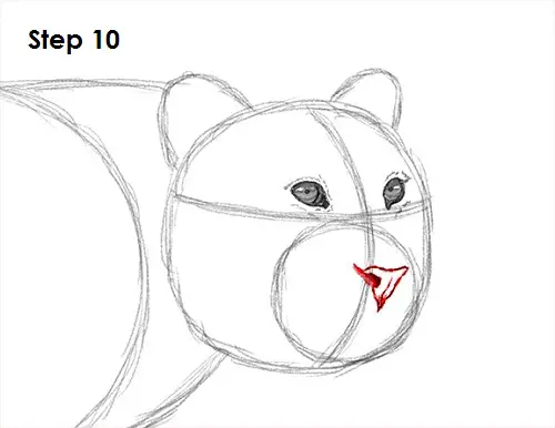 Leopard 10 Draw a Leopard 10
