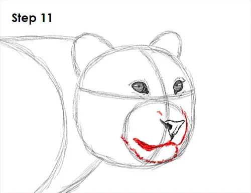 Leopard 11 Draw a Leopard 11