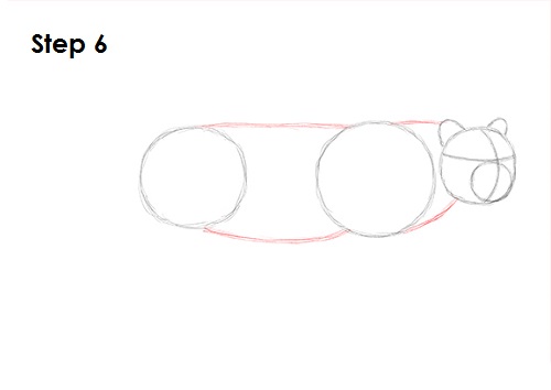 Leopard 6 Draw a Leopard 6