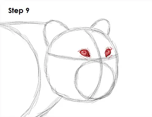Leopard 9 Draw a Leopard 9
