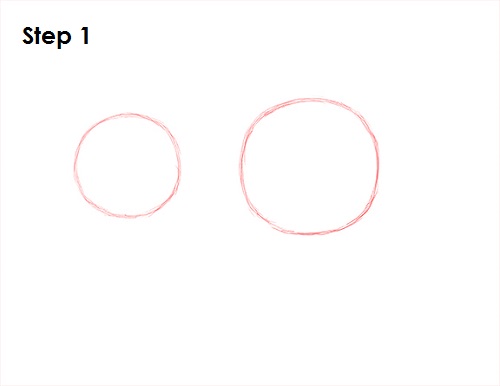 Lion Drawing 1 Draw Lion 1