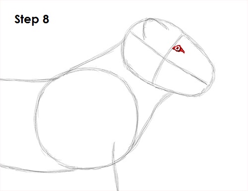 Lion Drawing 8 Draw Lion 8