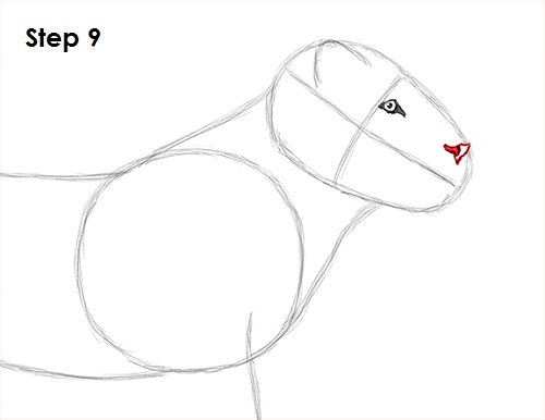 Lion Drawing 9 Draw Lion 9