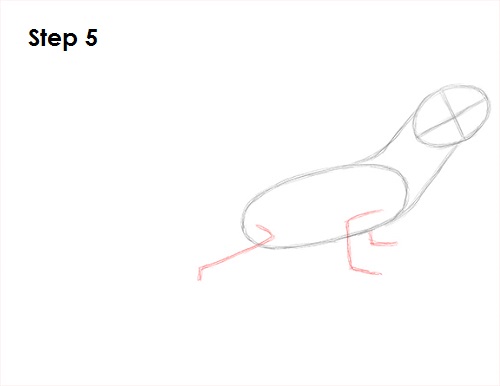 Lizard Drawing 5 Draw Lizard 5