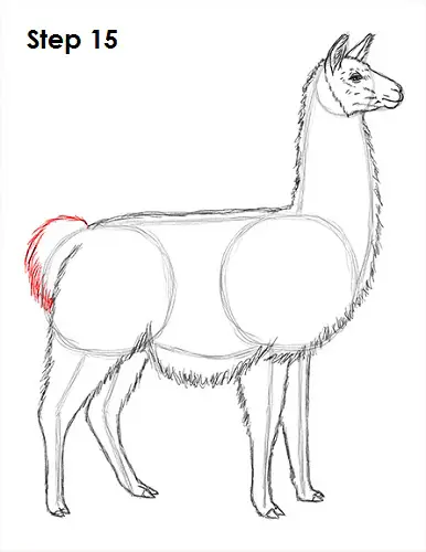 Llama Drawing 15 Draw Llama 15