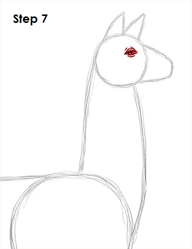 Llama Drawing 7 Draw Llama 7