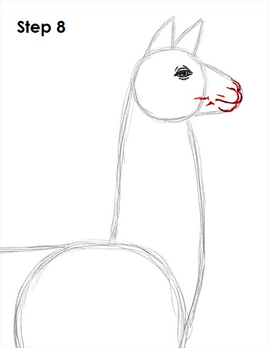 Llama Drawing 8 Draw Llama 8