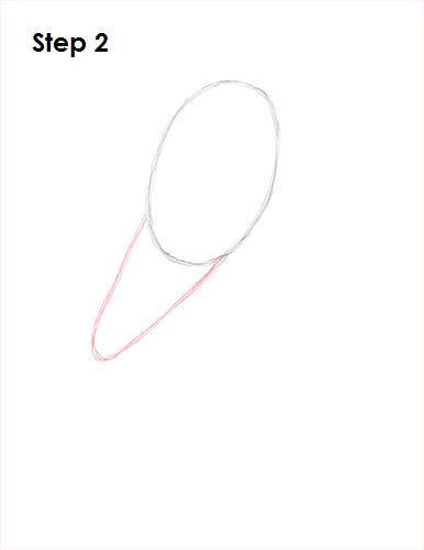 Scarlet Macaw Drawing 2 Draw Scarlet Macaw 2