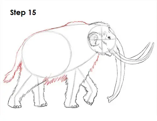 Mammoth Drawing 15 Draw a Mammoth 15