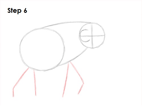 Mammoth Drawing 6 Draw a Mammoth 6