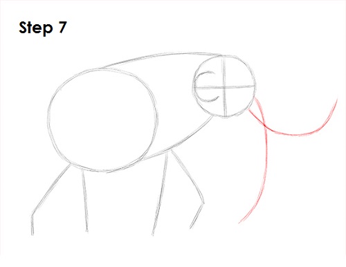 Mammoth Drawing 7 Draw a Mammoth 7