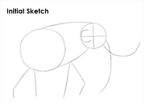 Mammoth Drawing Sketch Draw a Mammoth Sketch