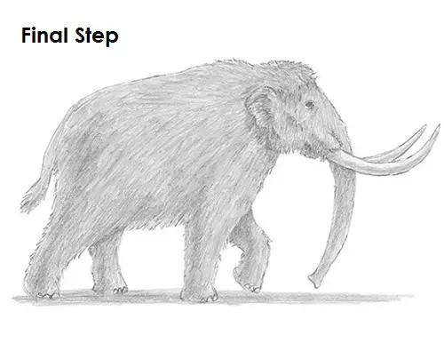 Mammoth Drawing Draw a Mammoth