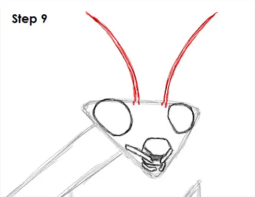 Praying Mantis Drawing 9 Draw Praying Mantis 9