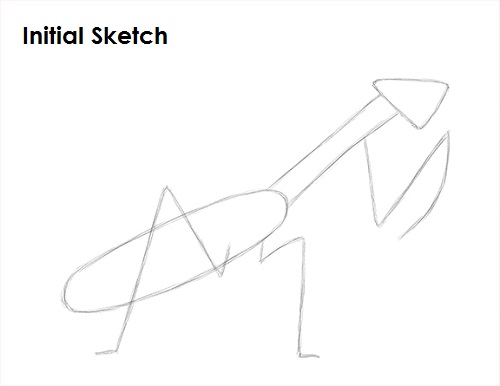 Praying Mantis Drawing Initial Sketch Draw Praying Mantis Initial Sketch