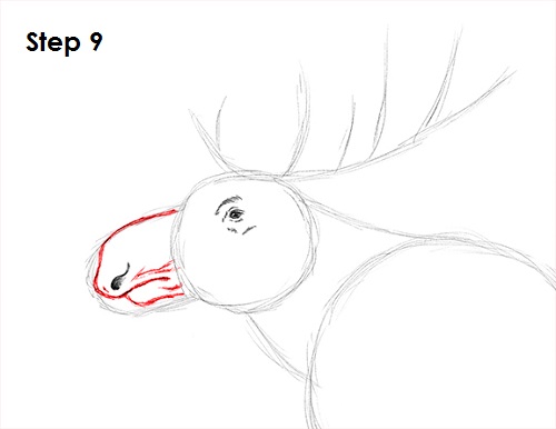 Moose Drawing 9 Draw Moose 9