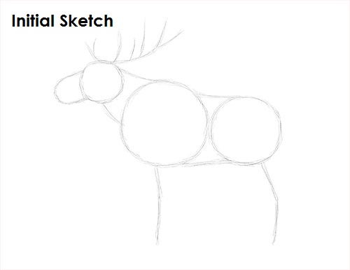 Moose Drawing Sketch Draw Moose Sketch