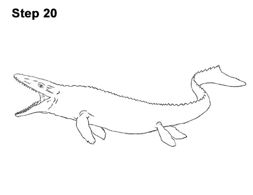 How to Draw Mosasaurus