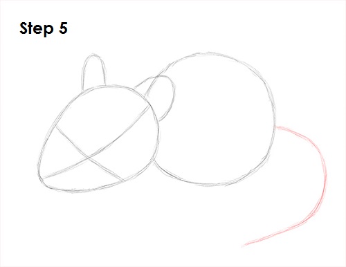 Mouse Drawing 5 Draw Mouse 5