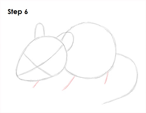Mouse Drawing 6 Draw Mouse 6