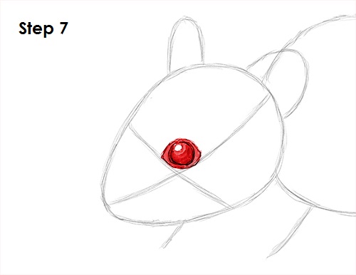 Mouse Drawing 7 Draw Mouse 7