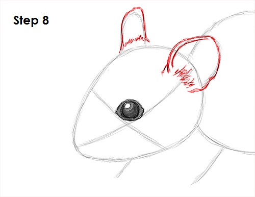 Mouse Drawing 8 Draw Mouse 8