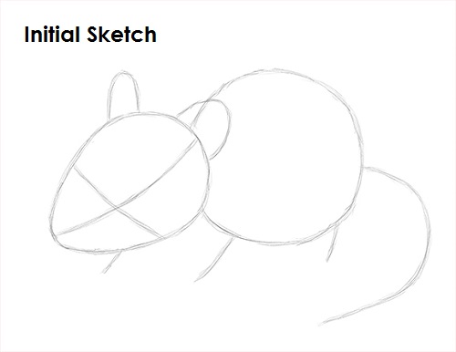 Mouse Drawing Sketch Draw Mouse Sketch