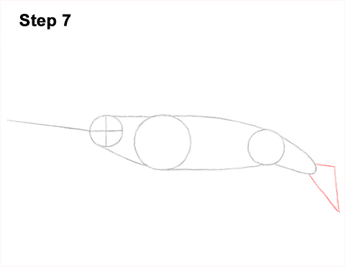 draw narwhal 7