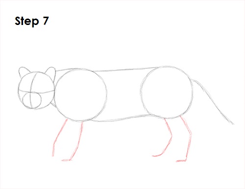 Ocelot Cat 7 Draw Ocelot 7