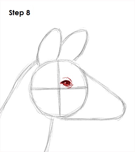 Okapi 8 Draw Okapi 8