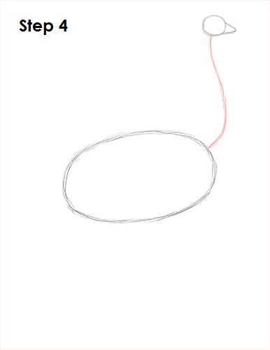 Ostrich Drawing 4 Draw Ostrich 4