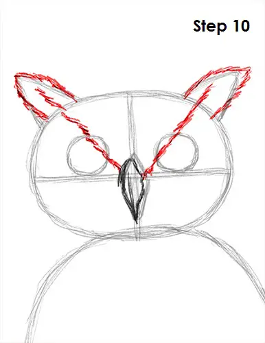 Great Horned Owl Drawing 10 Draw Great Horned Owl 10
