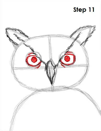 Great Horned Owl Drawing 11 Draw Great Horned Owl 11