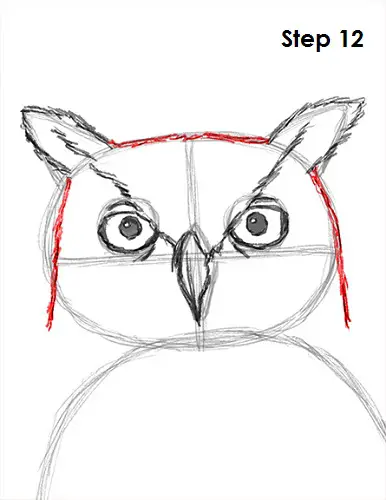 Great Horned Owl Drawing 12 Draw Great Horned Owl 12