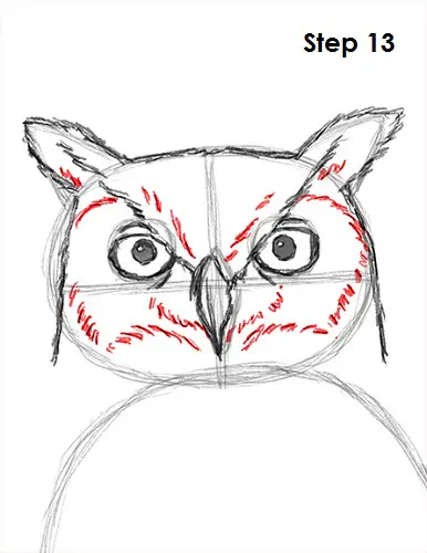 Great Horned Owl Drawing 13 Draw Great Horned Owl 13